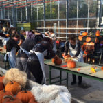Workshop Halloween Pompoenen