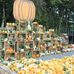 Pompoenenweekend