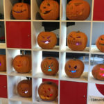 Workshop HalloweenPumpkins with Dr. Reddy