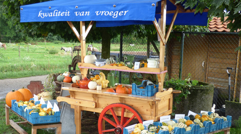 Pompoenerie en Hobbyboerderij                                              de Middenschans