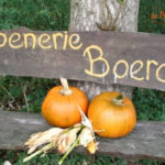 De Pompoenerie