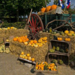 Pompoendagen 7 en 8 september 2019 bij Het Akkertje
