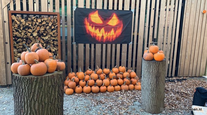 Halloween op Kasteel Duivenvoorde