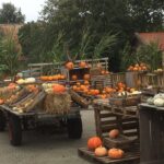De pompoenenschuur