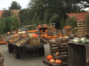 De pompoenenschuur