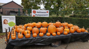 Bonten Pompoenen Limburg