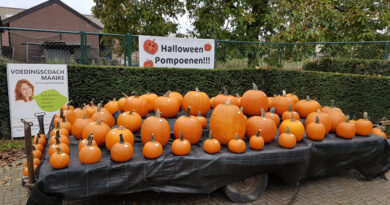Bonten Pompoenen Limburg