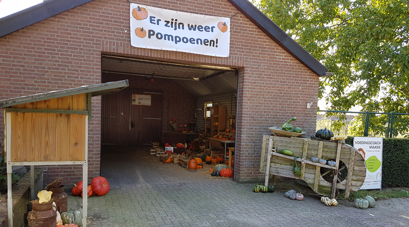 Bonten-Pompoenen-schuur
