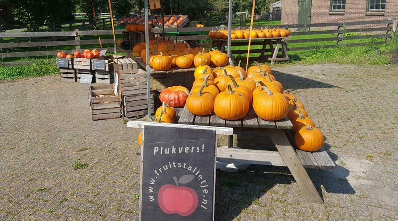 Pompoenen bij het fruitstalletje in Alphen aan de Rijn