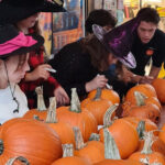 Workshop HalloweenPompoen maken