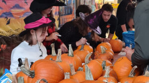 Workshop HalloweenPompoen maken