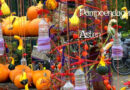 Pompoendagen in Asten