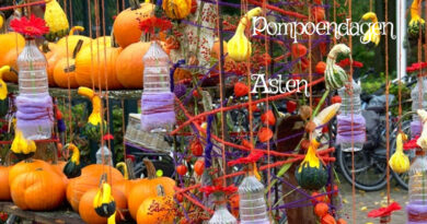 Pompoendagen in Asten