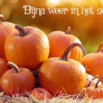 Het is weer bijna pompoenen seizoen