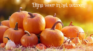 Het is weer bijna pompoenen seizoen