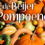 De Beijer Pompoenen
