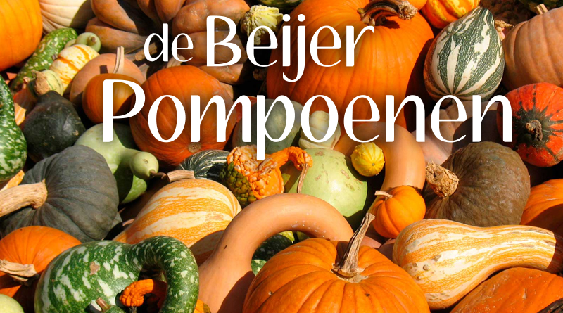 De Beijer Pompoenen