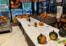Kids workshop HalloweenPompoenen