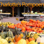 Charlotte's Pompoenen