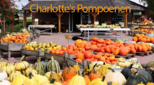Charlotte's Pompoenen