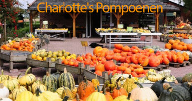 Charlotte's Pompoenen
