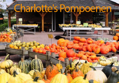 Charlotte's Pompoenen