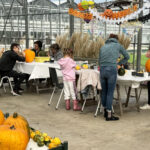 Maak je HalloweenPompoen in Roelofarendsveen!