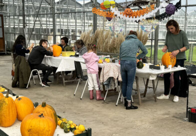 Maak je HalloweenPompoen in Roelofarendsveen!