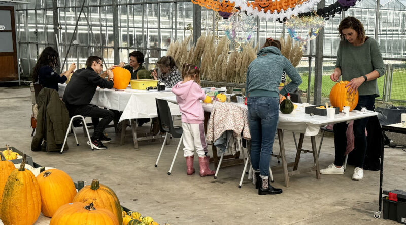 Maak je HalloweenPompoen in Roelofarendsveen!